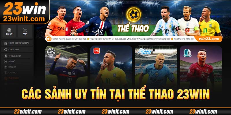 Các sảnh uy tín tại Thể thao 23WIN