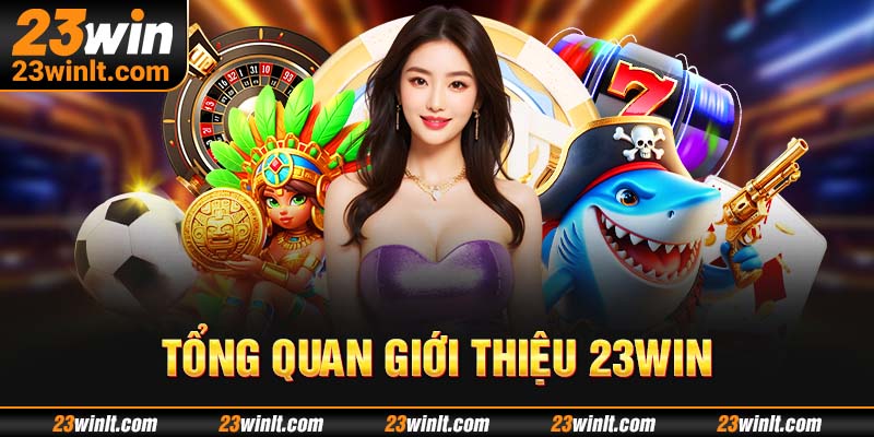 Khái quát các nội dung liên quan giới thiệu 23WIN